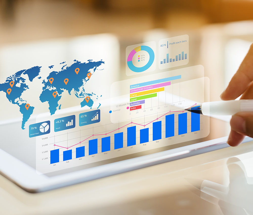 Gestión de Procesos Solución Kit Digital: ERP